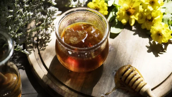 miód kasztanowy bio